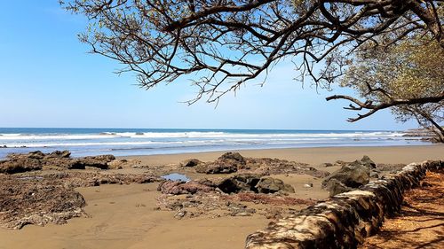 Scenic view of beach against clear sky