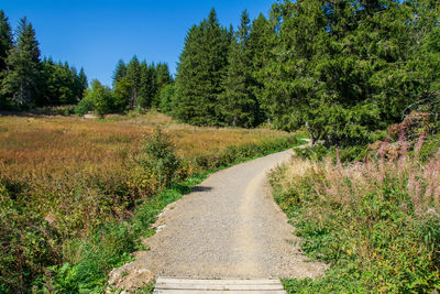 Road amidst trees against sky