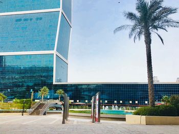 Palm tree by swimming pool against building