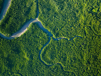 High angle view of agricultural field