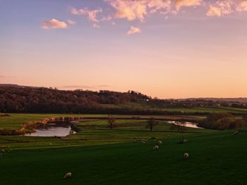 Scenic view of field against sky during sunset