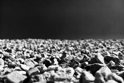 Close-up of pebbles on sand at beach