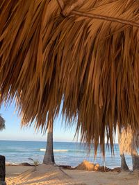 Palm trees on beach against sky