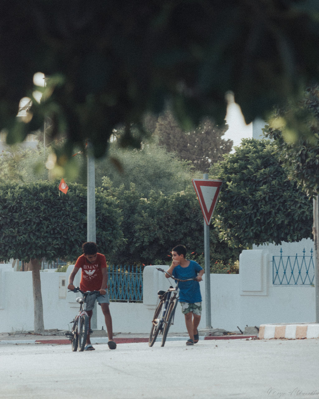 PEOPLE RIDING BICYCLE BY TREE