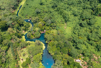 Incredible tourist landscape with a blue river in jungle forests. top view, drone photo. vanuatu.