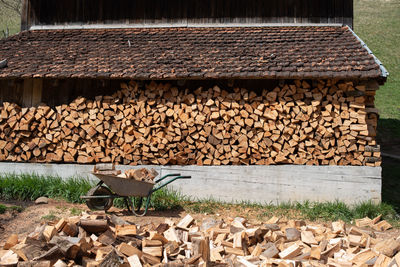 Stack of logs in forest