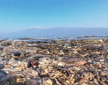 Scenic view of sea against clear blue sky