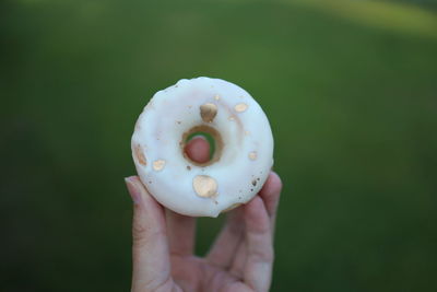 Close-up of hand holding donut against green background