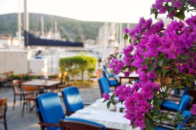 Close-up of purple flowering plant on table