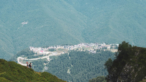 High angle view of trees on mountain