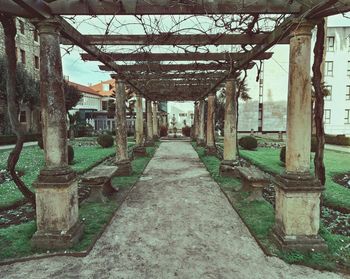 High angle view of trees in corridor