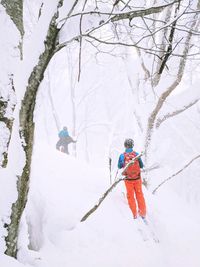 People skiing on snow covered tree