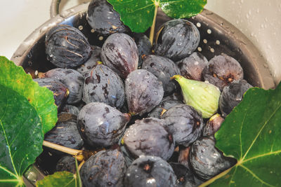 High angle view of fruits and leaves in water