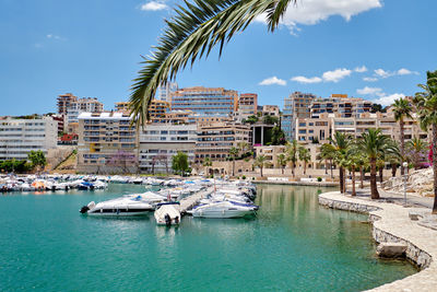 Sailboats in sea by buildings against sky