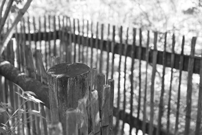 Close-up of metal fence against blurred background