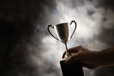 Close-up of person holding trophy 