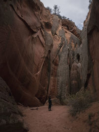 Rear view of man walking on rocks