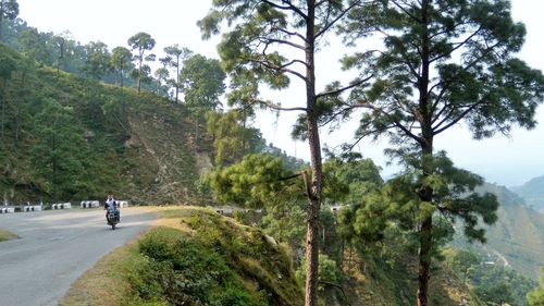 Rear view of people riding motorcycle on road