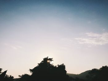 Low angle view of silhouette tree against sky