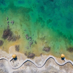 High angle view of turtle in sea