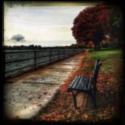 Empty road with trees in background