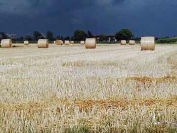 Hay bales in wheat field against sky