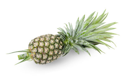 Close-up of fruit against white background