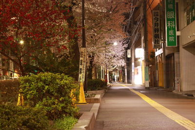 Footpath amidst trees in city