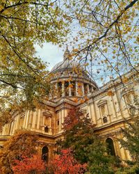 Low angle view of trees and buildings against sky