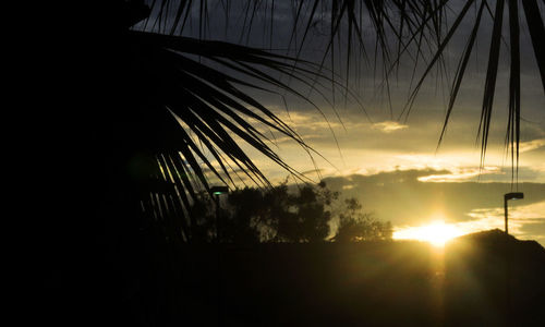 Close-up of silhouette palm trees against sky during sunset