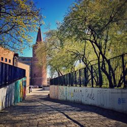 Walkway along trees in city