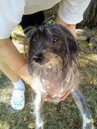 Close-up of person with dog