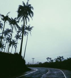 Road by trees against clear sky