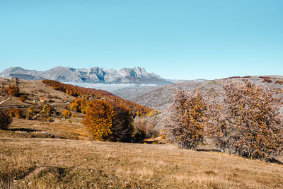 Autumn landscape in durmitor national park, montenegro. a warm color picture perfect for wallpaper.