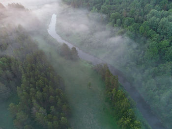 Majestic morning. captivating aerial view of misty forest and river at sunrise in northern europe