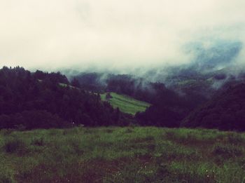 Scenic view of grassy field against cloudy sky