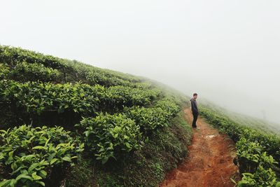 Woman walking on plants against sky