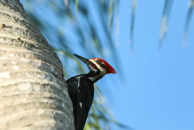 Close-up of bird perching on a plant