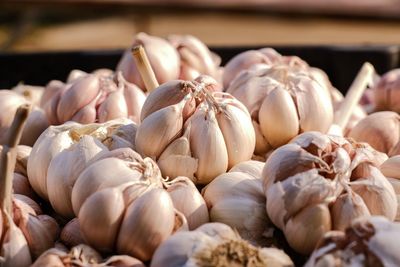 Close-up of vegetables for sale in market