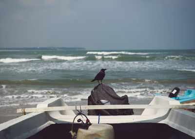 View of bird on beach