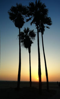 Silhouette palm trees on beach against sky during sunset