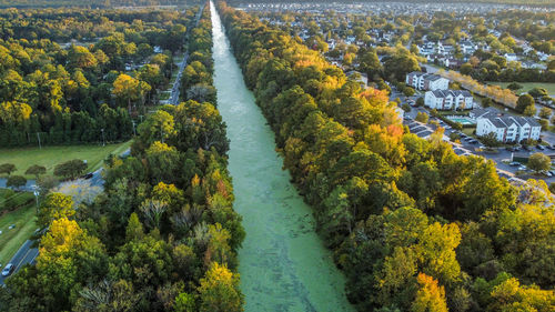 Aerial photo of duckweed in the dismal swamp canal in virgina