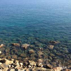 High angle view of sea shore