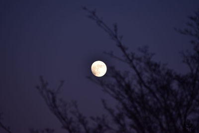 Low angle view of moon against sky at night