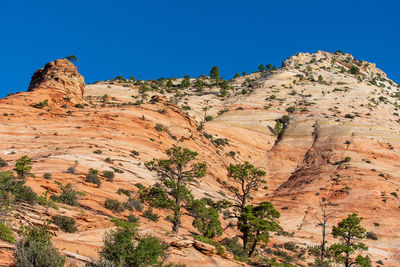 Zion national park low angle landscape of orange and white stone hillsides at checkerboard mesa
