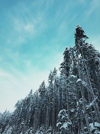 Low angle view of snow covered mountain against sky