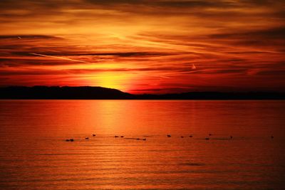 Scenic view of sea at sunset