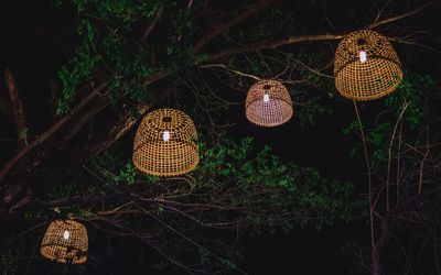 High angle view of illuminated lanterns hanging on tree