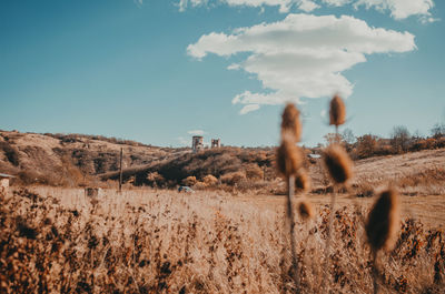 Old ruined fortress on hill. blue sky with white clouds. beautiful picture for screensaver.