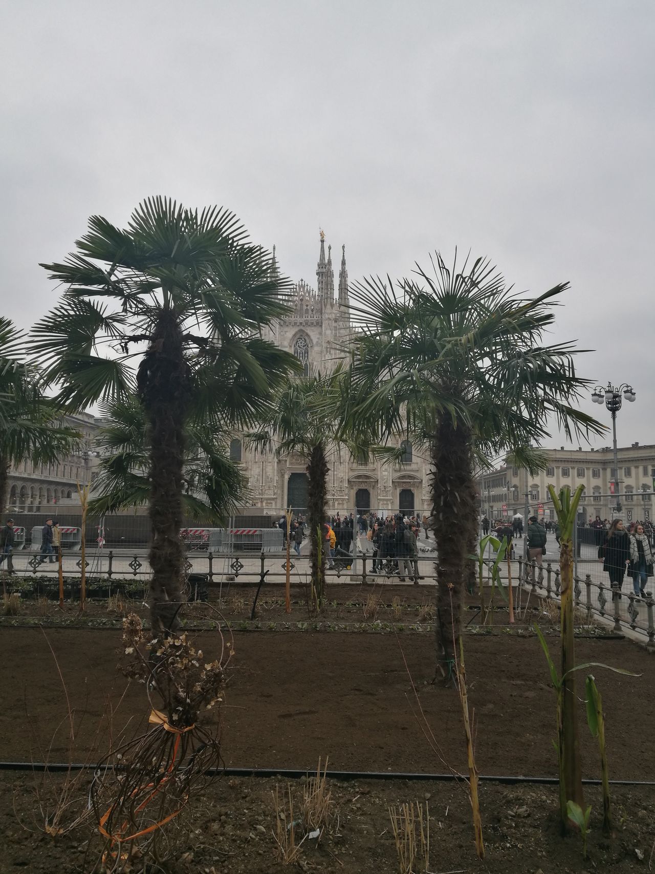 Milan Cathedral controversial palms